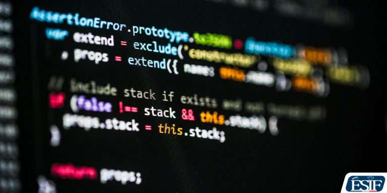 ESIF-developpeur_informatique1